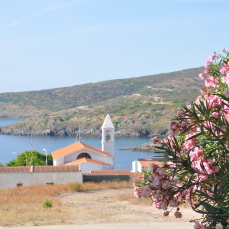 Quella strana estate all’Asinara (La Nuova Sardegna, 22 aprile 2018)