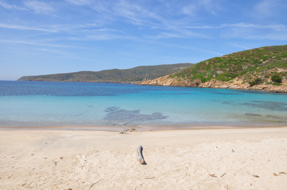 asinara 