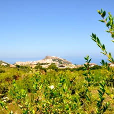 la vita a km zero (La Nuova Sardegna, 9 settembre 2014)