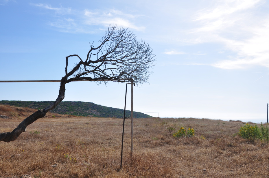 asinara