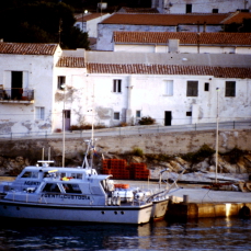 Il calendario che non cammina: fine pena mai. Storie dell’Asinara.