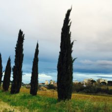 Il vecchio canto delle sirene (La Nuova Sardegna, 11 ottobre 2015)