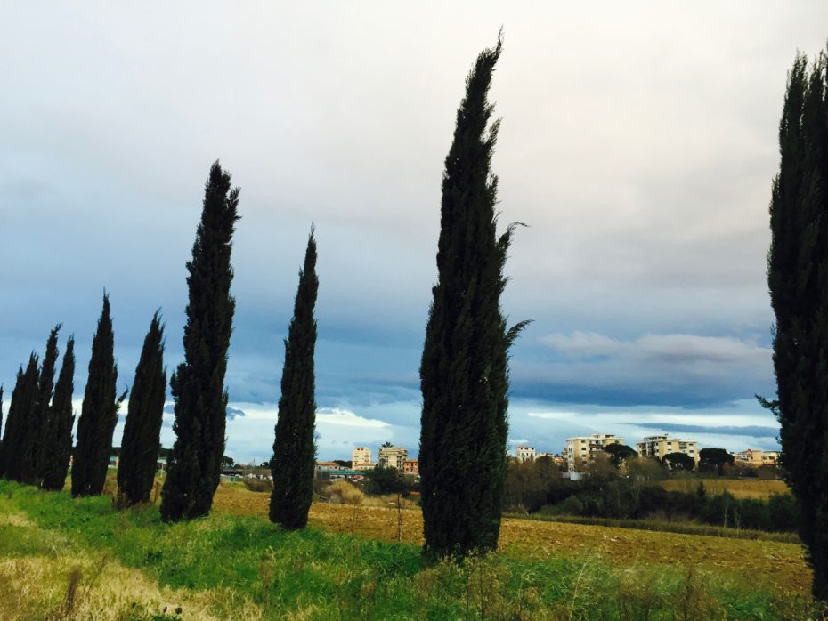 Il vecchio canto delle sirene (La Nuova Sardegna, 11 ottobre 2015)