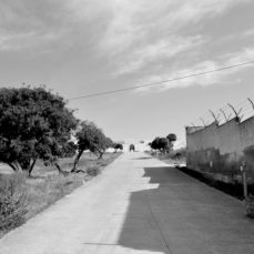 Asinara, isola da ricordare