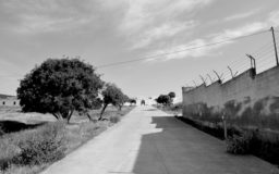 Asinara, isola da ricordare